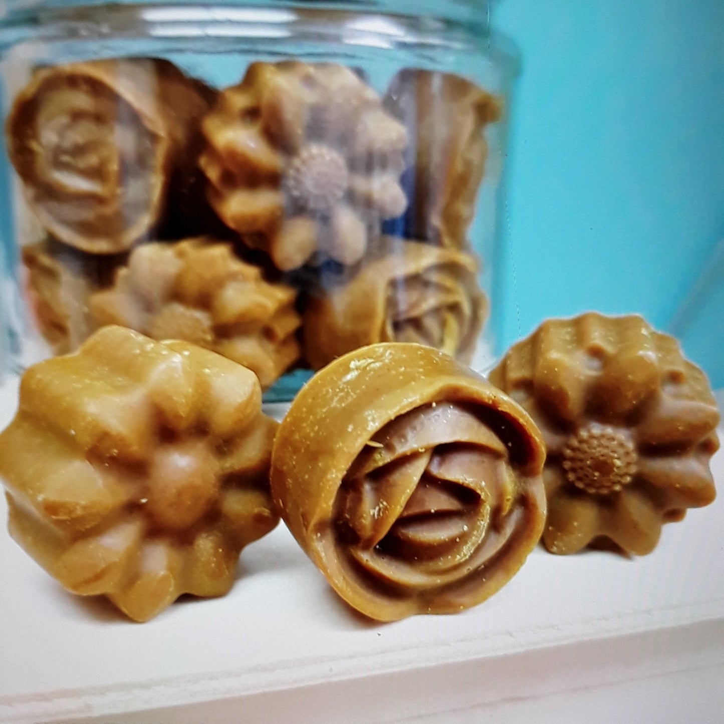 小強磚(一套4粒) Cockroach Repellent Block (Set of 4)