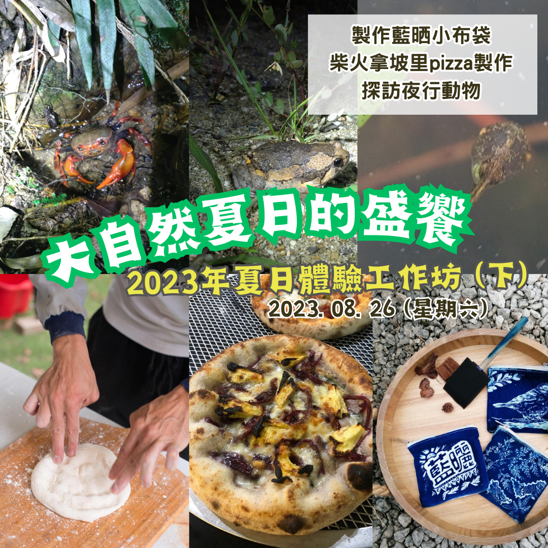 2023.08.26大自然夏日的盛饗(下) workshop