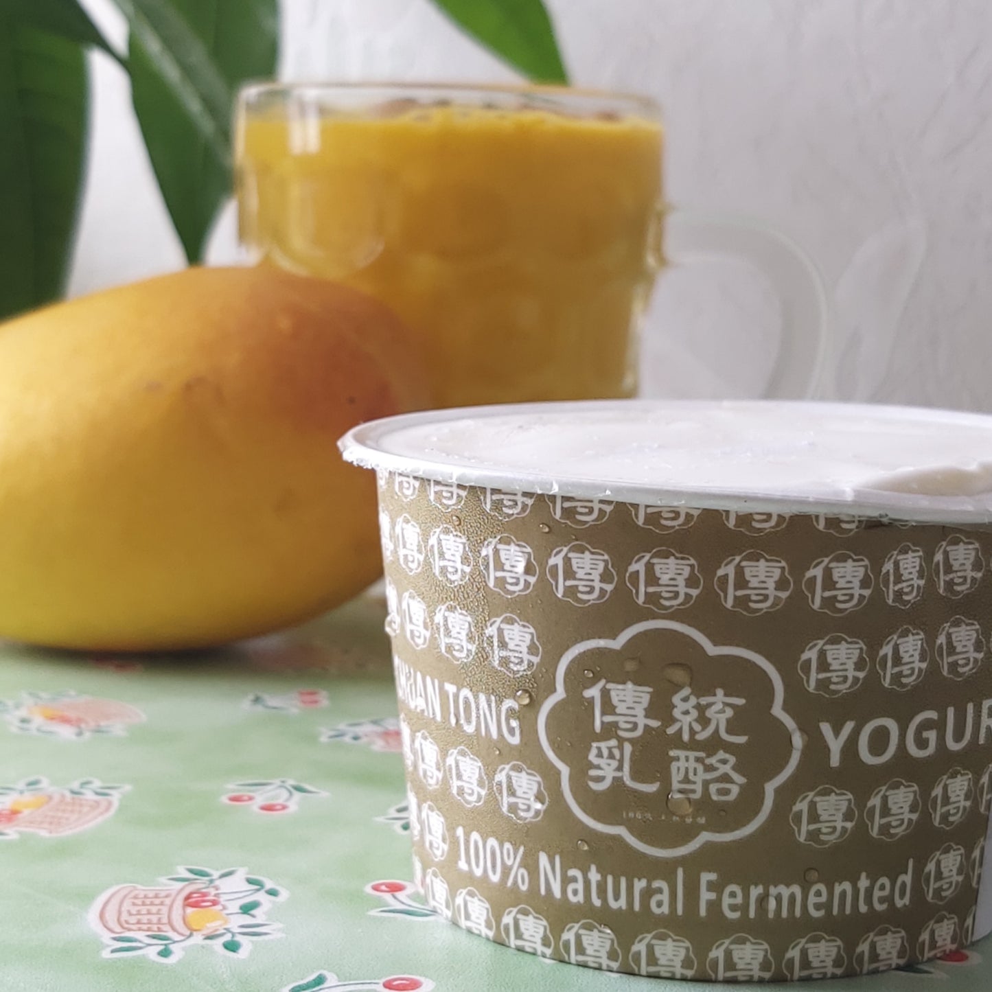 傳統乳酪 團購 Yogurt Preorder