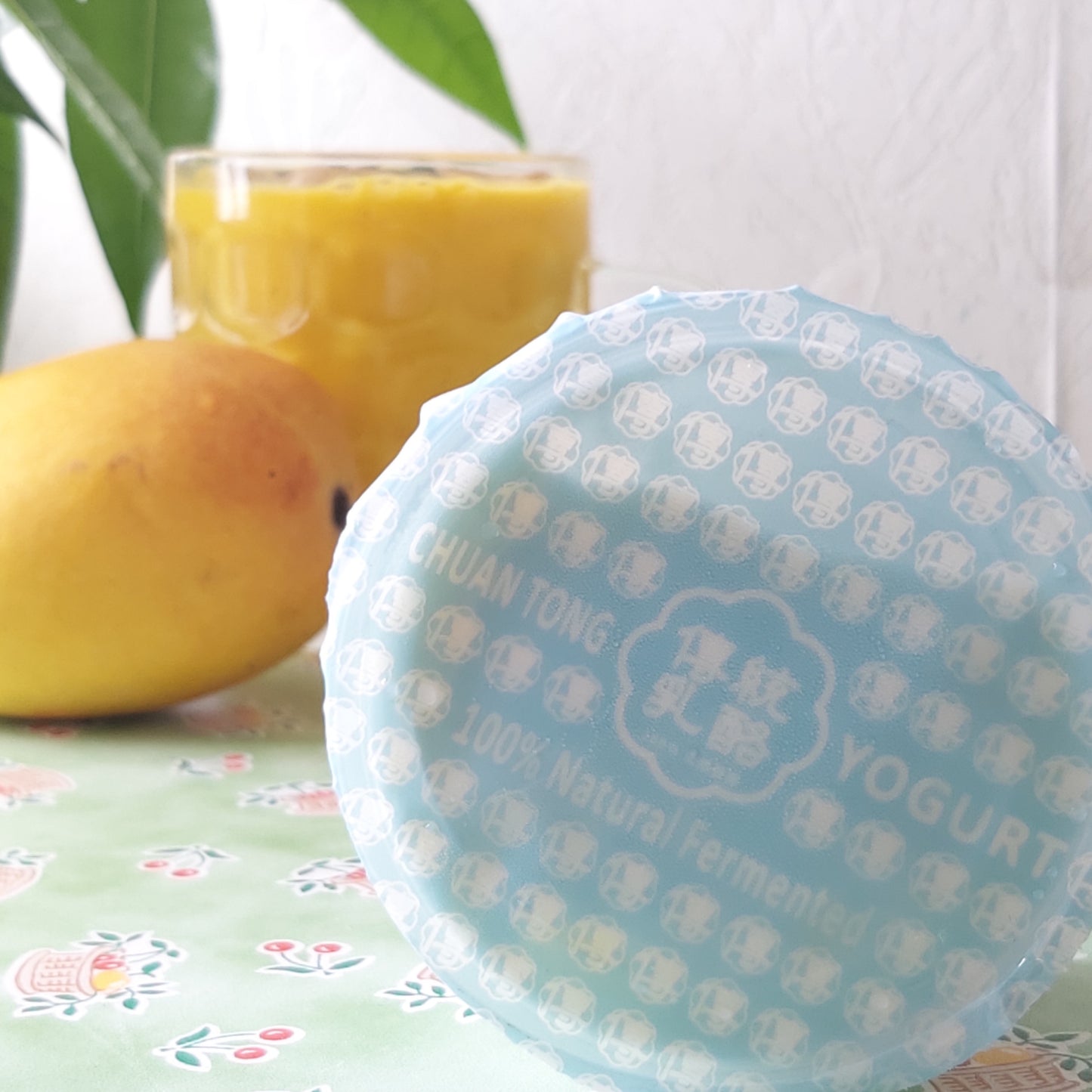 傳統乳酪 團購 Yogurt Preorder