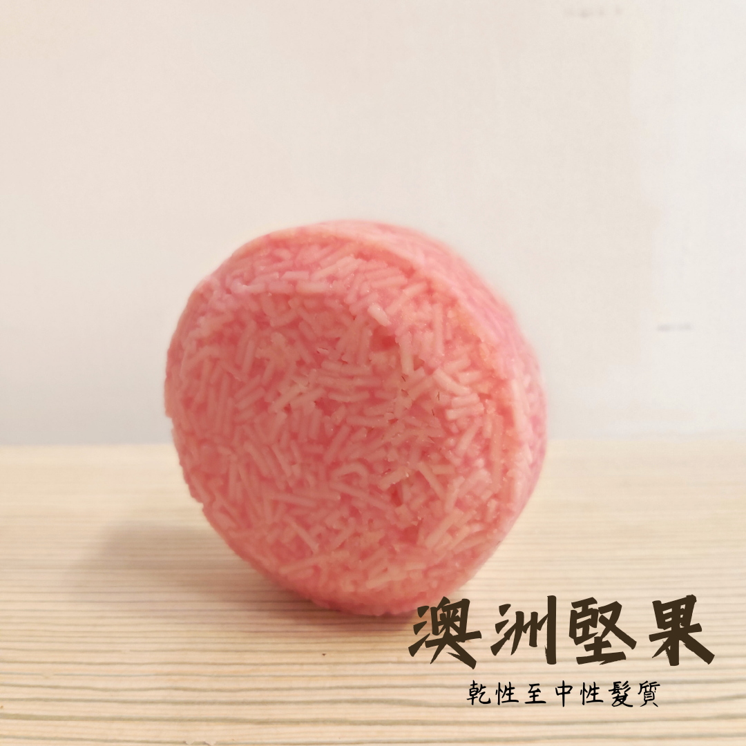 洗髮磚 Magic Shampoo
