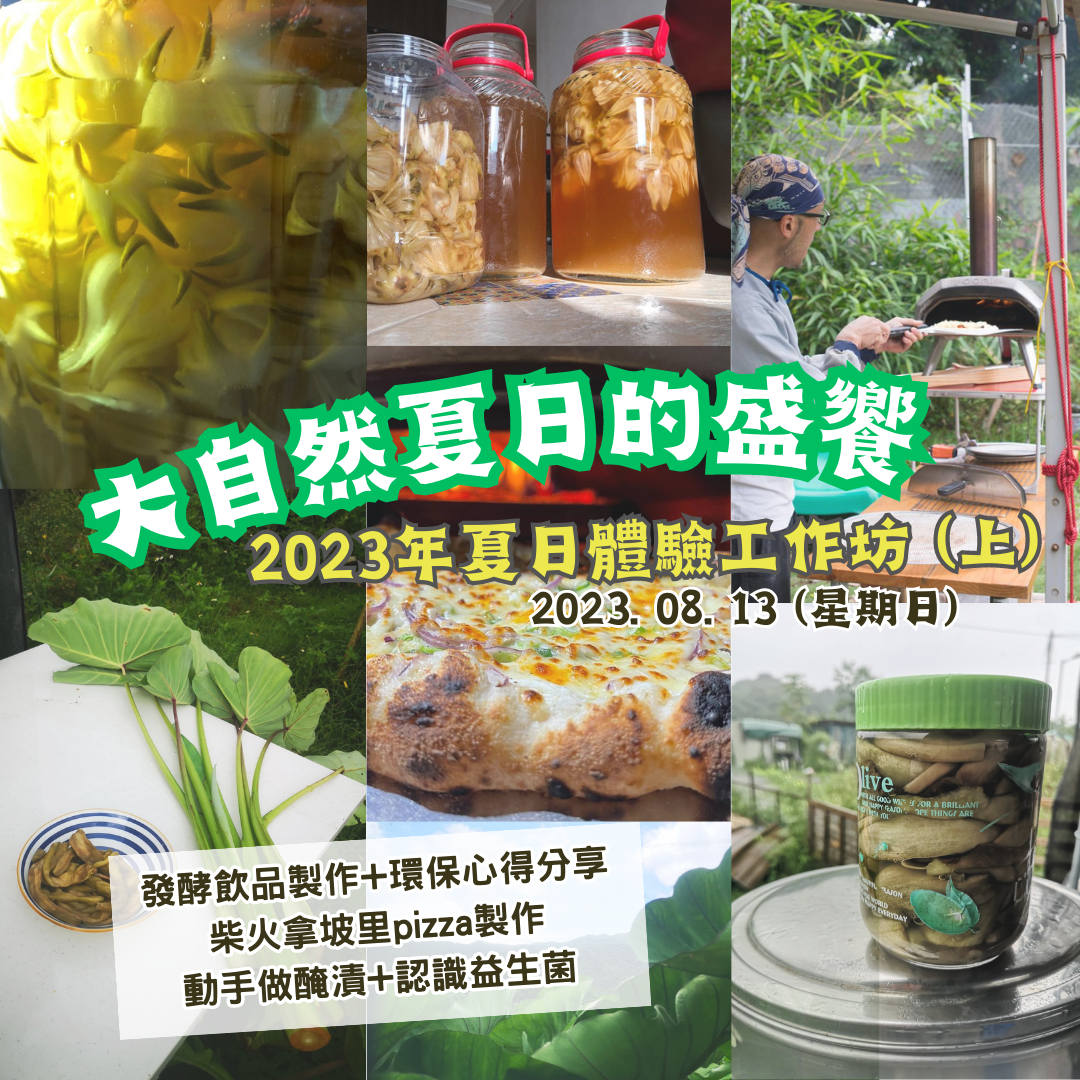 2023.08.13大自然夏日的盛饗(上) workshop