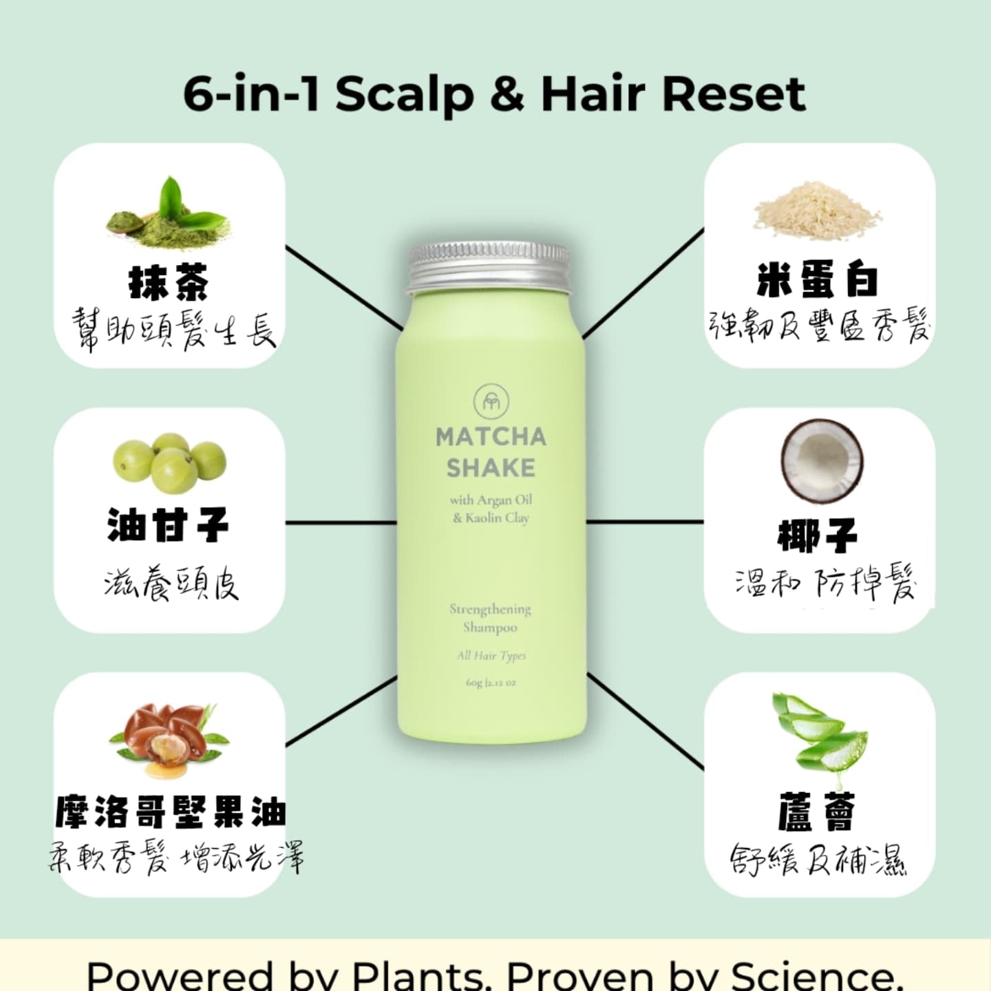 COCONUT MATTER 濃縮洗髮粉 60g Shake Shampoo Concentrate