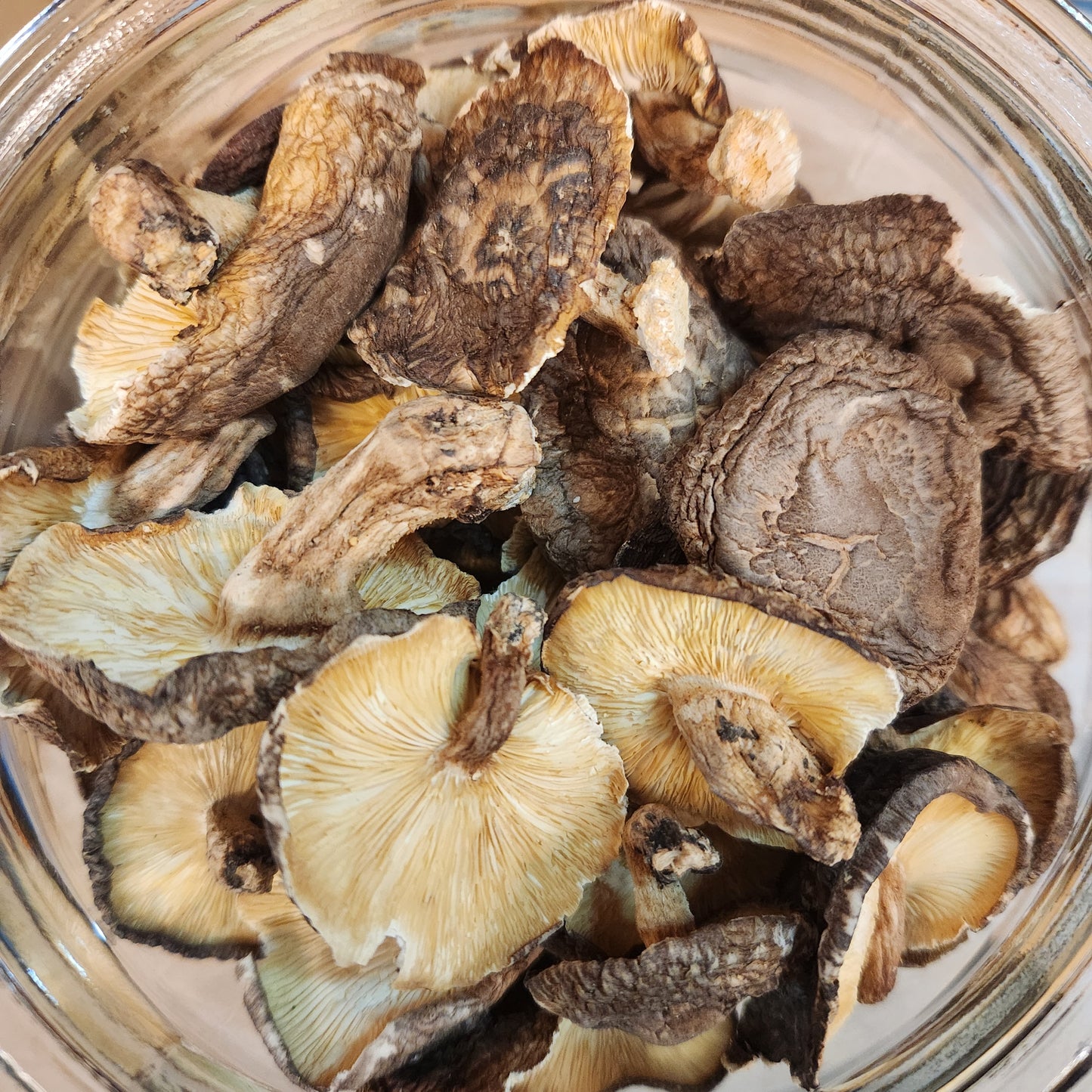 日本山梨縣 fungus / mushrooms (10g)