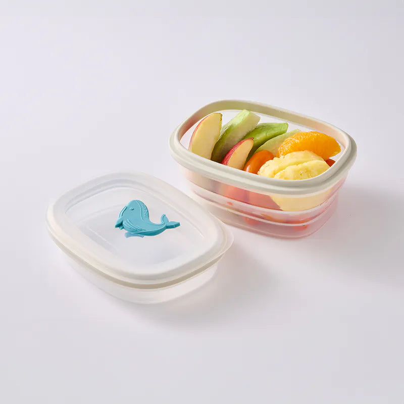 台灣 矽膠餐盒 Lunchbox