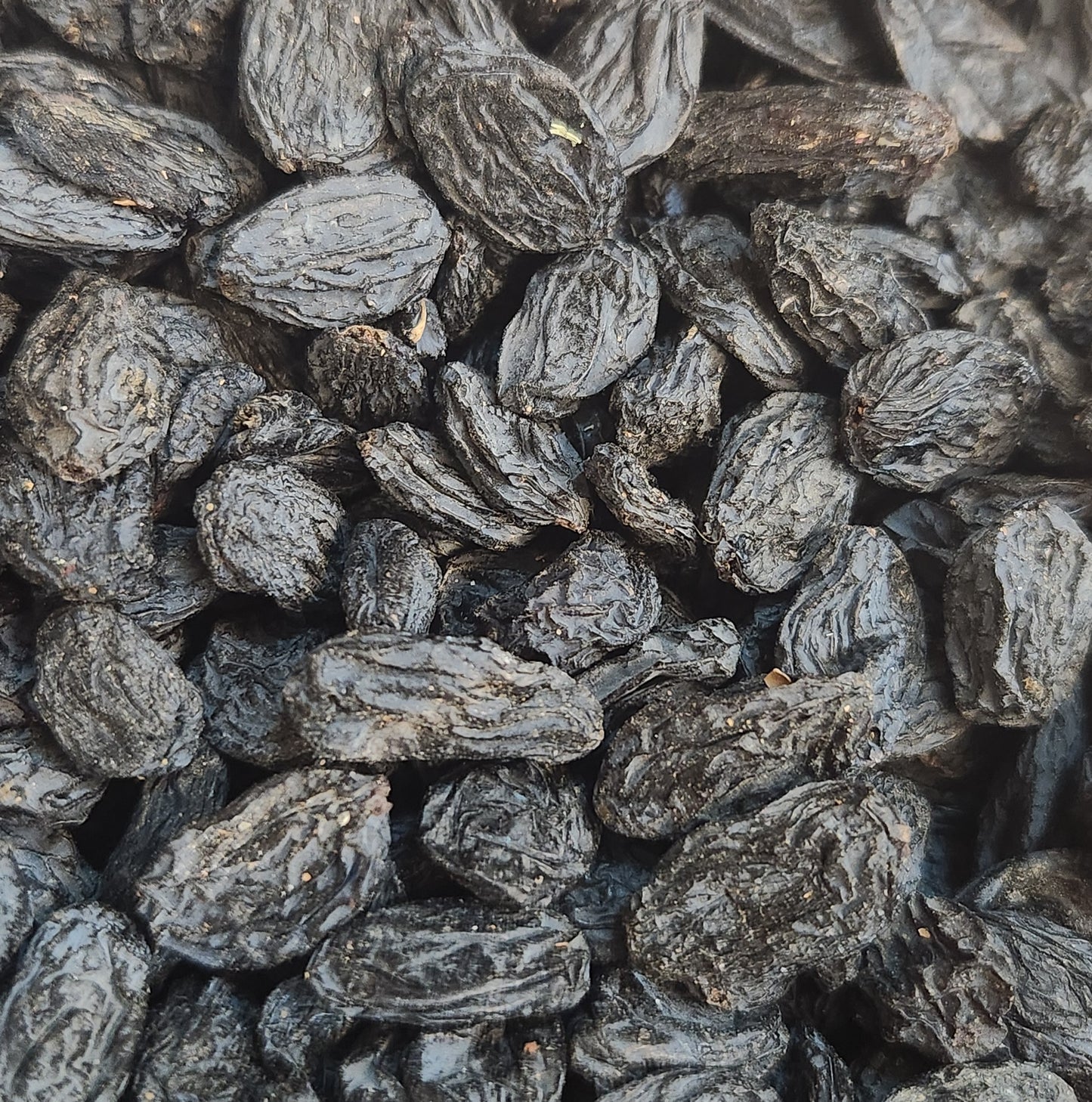 烏茲別克零食 Uzbekistan snacks