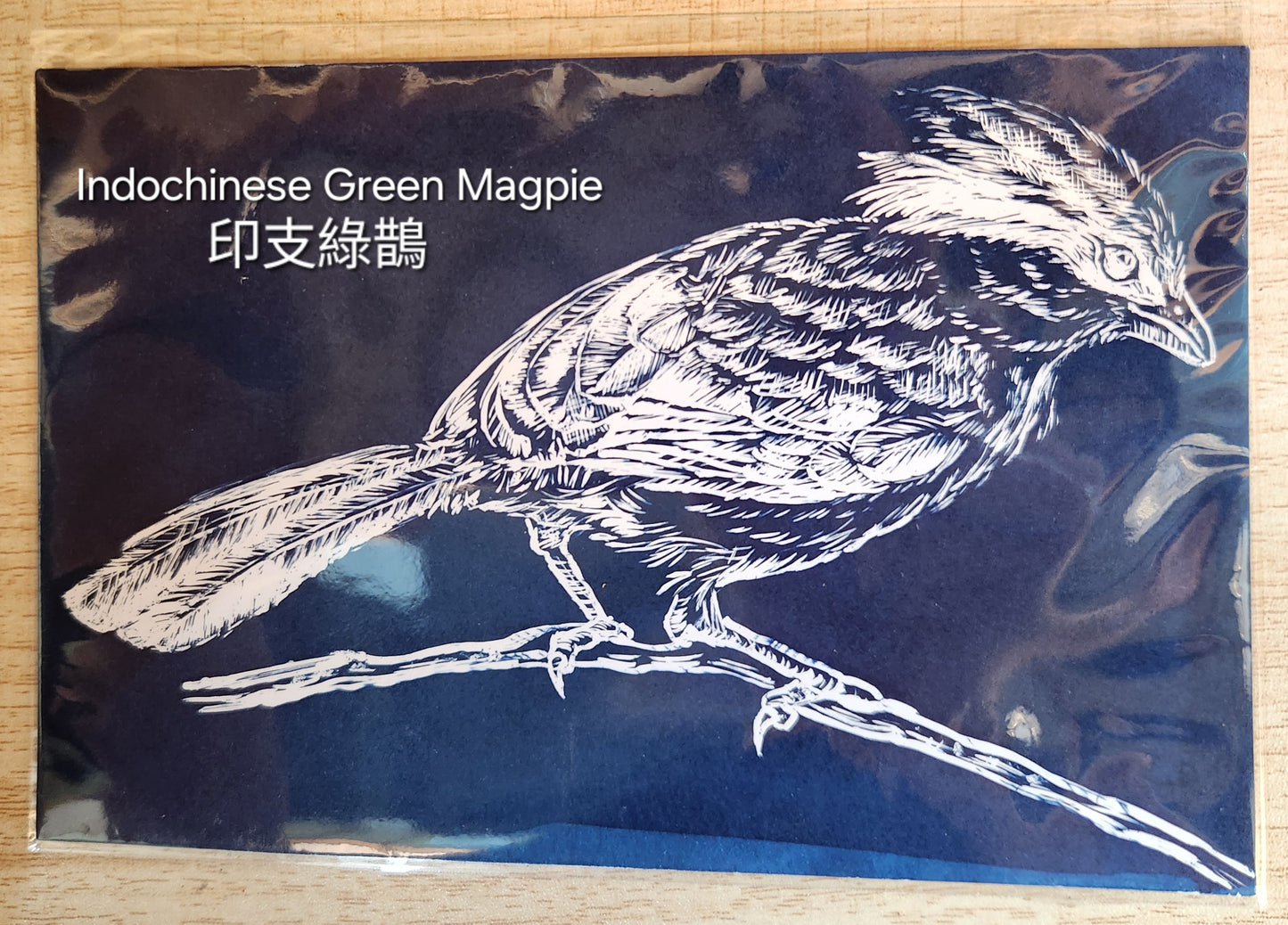 藍曬香港雀鳥系列明信片 Postcard (每張)