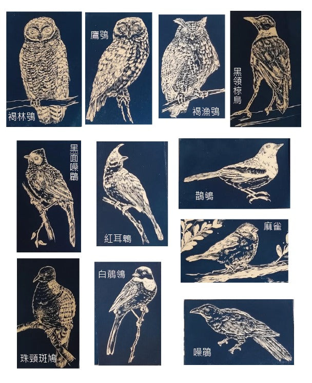 藍曬香港雀鳥系列明信片 Postcard (每張)