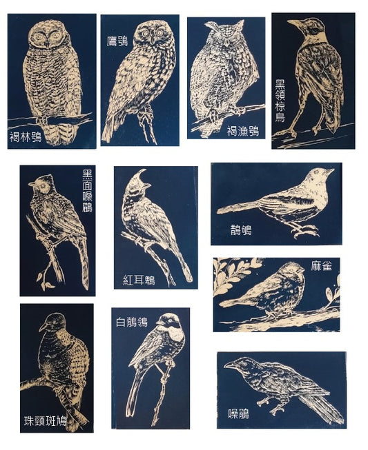 藍曬香港雀鳥系列明信片 Postcard (每張)