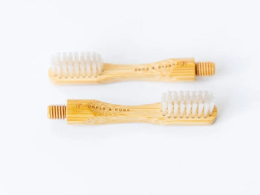 PURPLE AND PURE 牙刷刷頭 Toothbrush Replaceable Heads