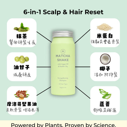 COCONUT MATTER 濃縮洗髮粉 60g Shake Shampoo Concentrate