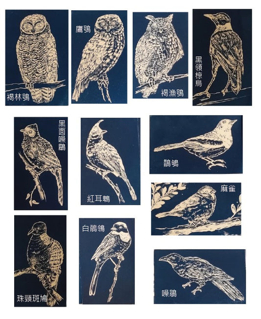 藍曬香港雀鳥系列明信片 Postcard