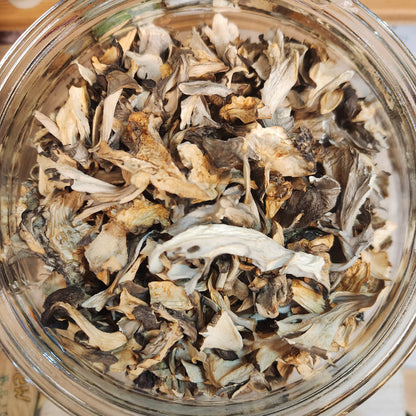 日本山梨縣 fungus / mushrooms (10g)