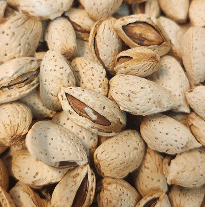 烏茲別克零食 Uzbekistan snacks