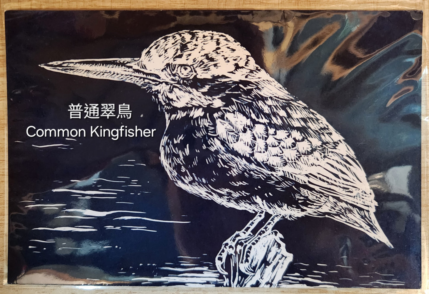 藍曬香港雀鳥系列明信片 Postcard (每張)