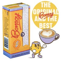 BONSOY 古法生機豆奶 Soymilk 1L