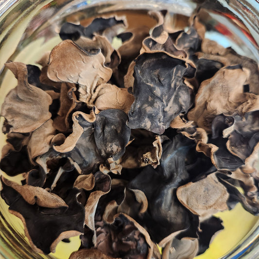 日本山梨縣 fungus / mushrooms (10g)